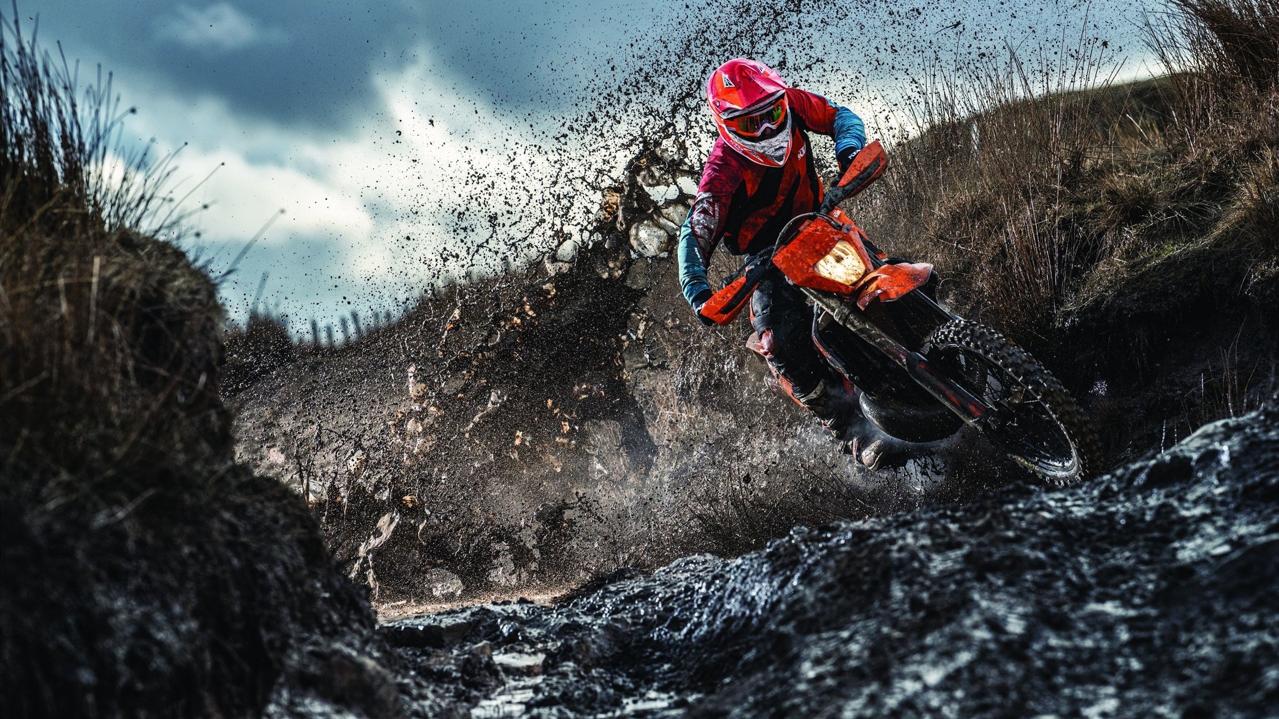 达米恩·麦肯齐：凭借高效的跑动和敏捷的脚步，成为全黑队进攻的关键